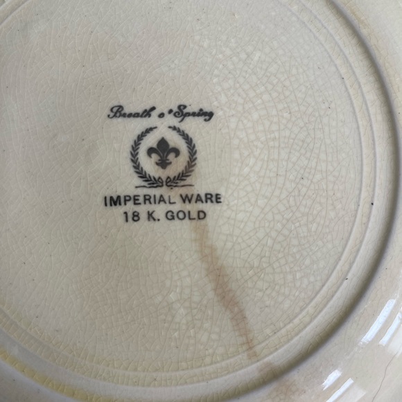Imperial ware porcelain breath o spring dinner plates yellow 11 plates 1930s - Picture 4 of 17